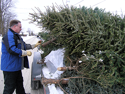 Tossing trees