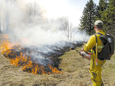 Scorched earth