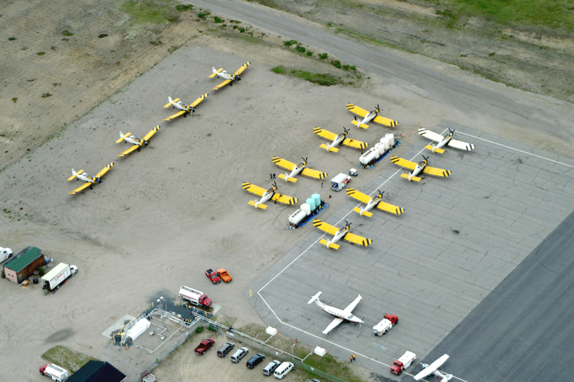 Infestation suppression