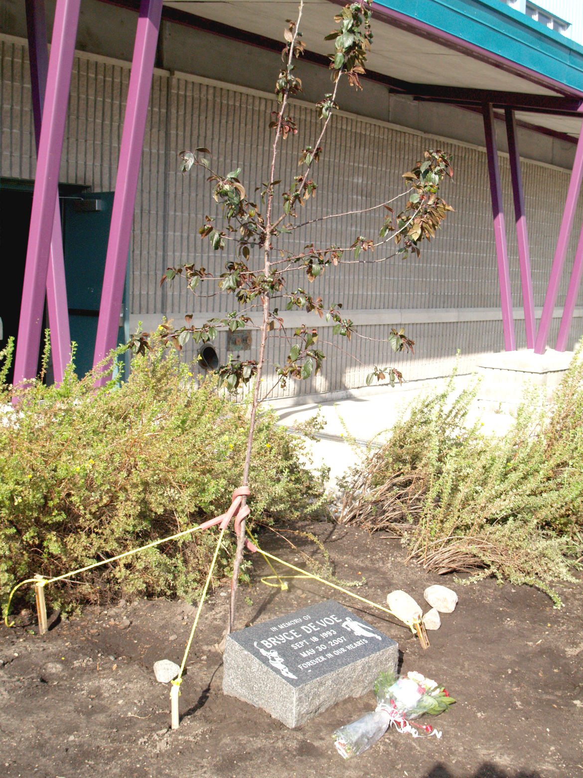 Always remembered