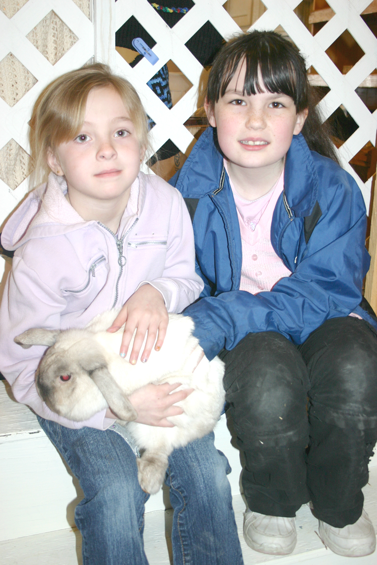 Petting bunny