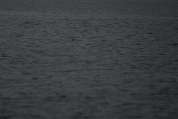 IMG_3452