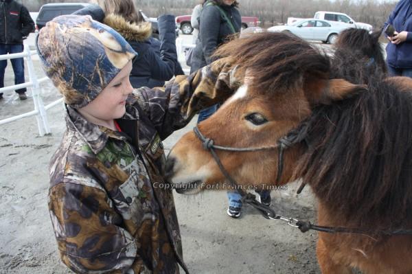 Petting pony