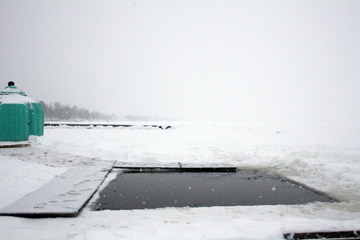 Polar Plunge _09 44
