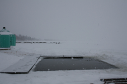 Polar Plunge _09 81