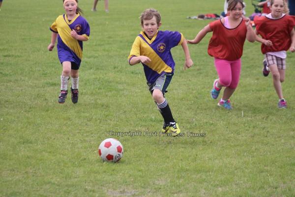 Ball chase
