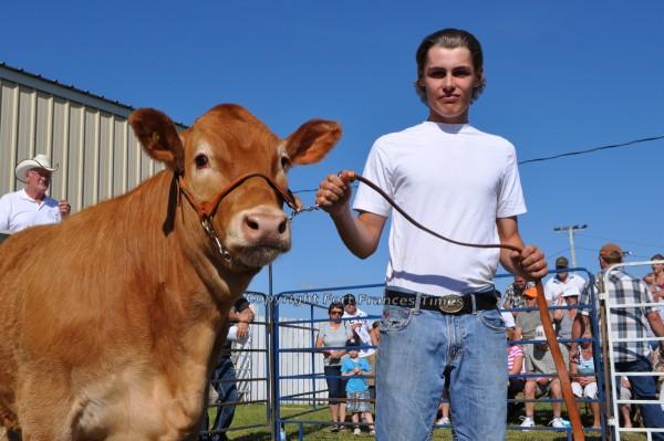 4-H auction