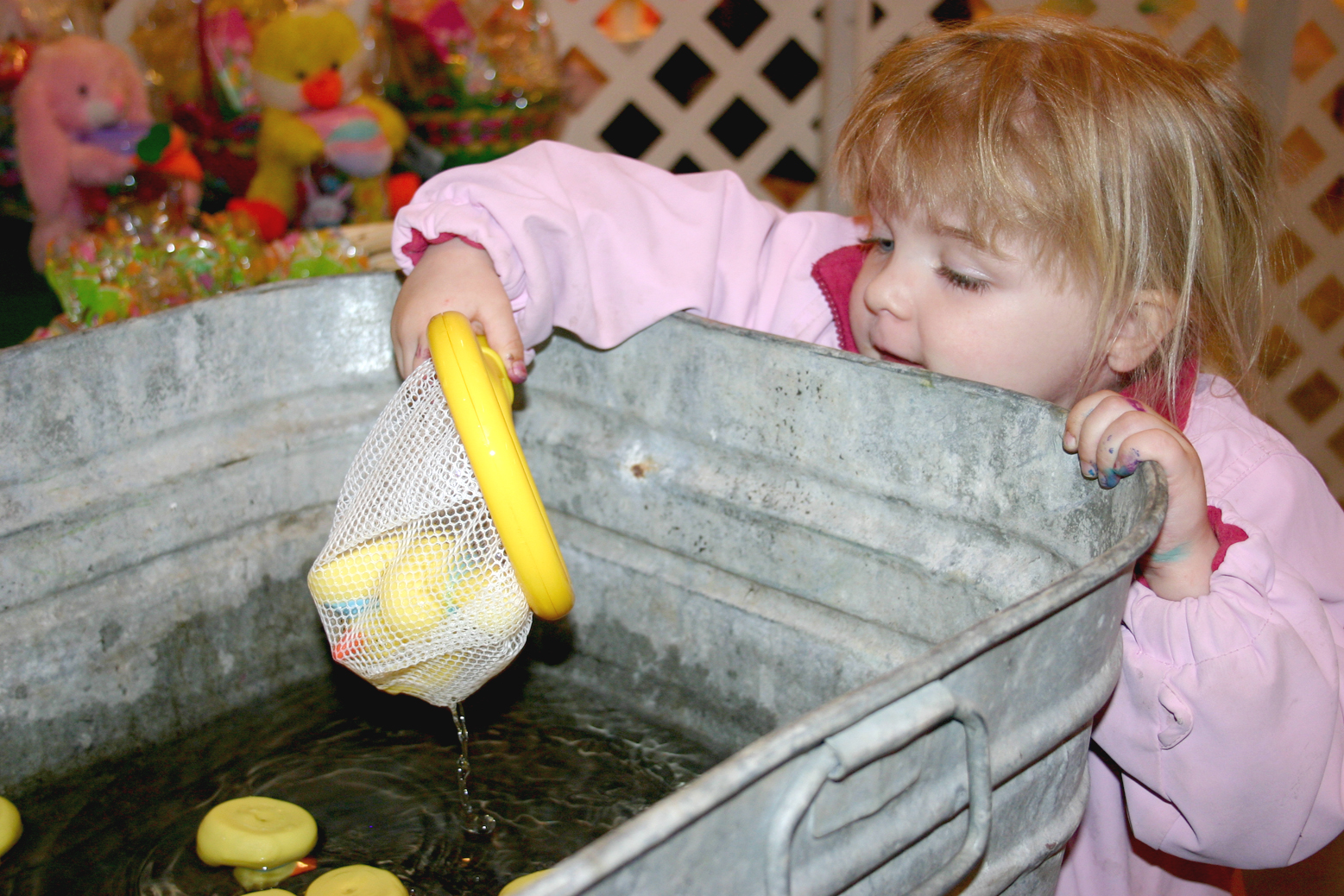 Pluck a duck