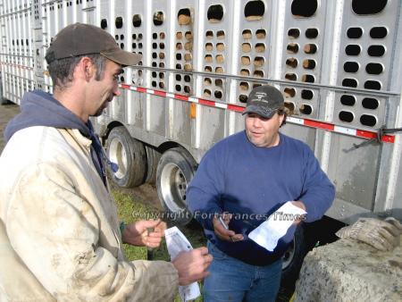 Cattle paperwork
