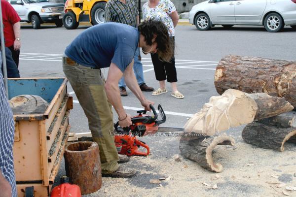 Chainsaw carving