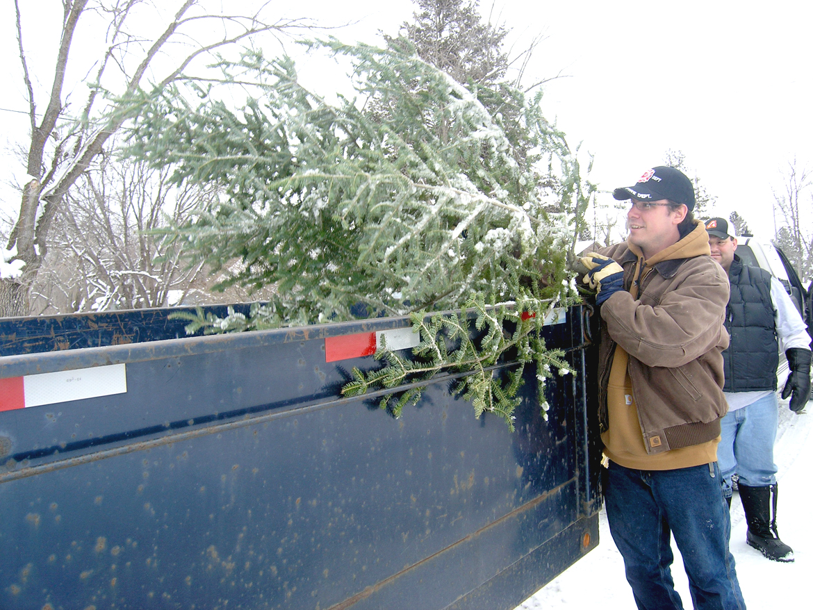 Collecting trees