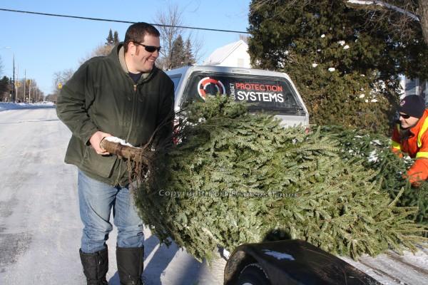 Collecting trees