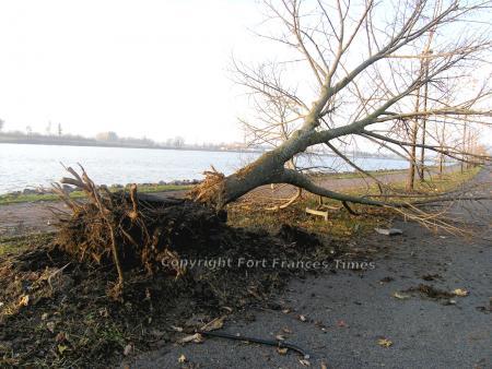 Crash site
