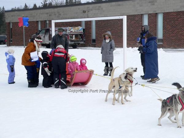 Dog sled rides