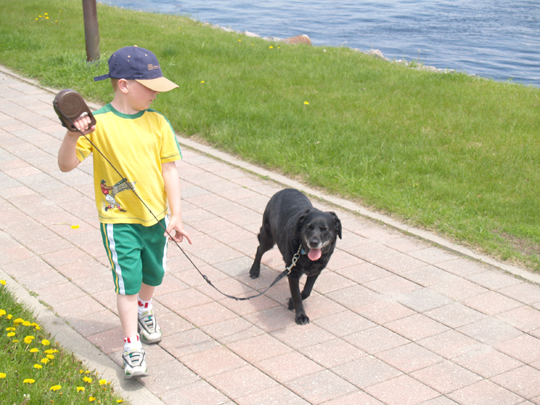 Walking the dog