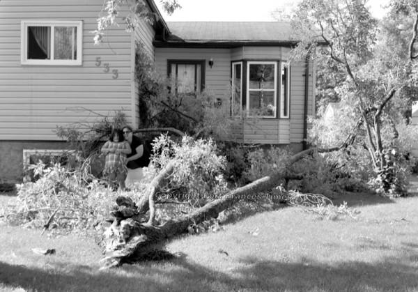 Storm  damage