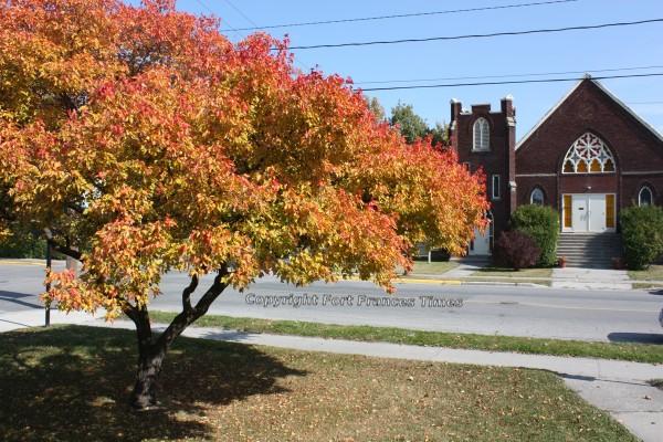 Fall colours