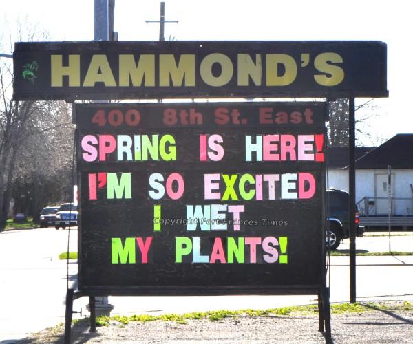 ‘Yay, spring!’