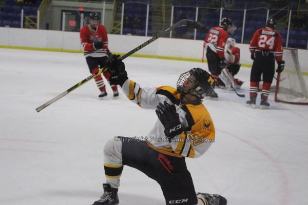 Goal celebration