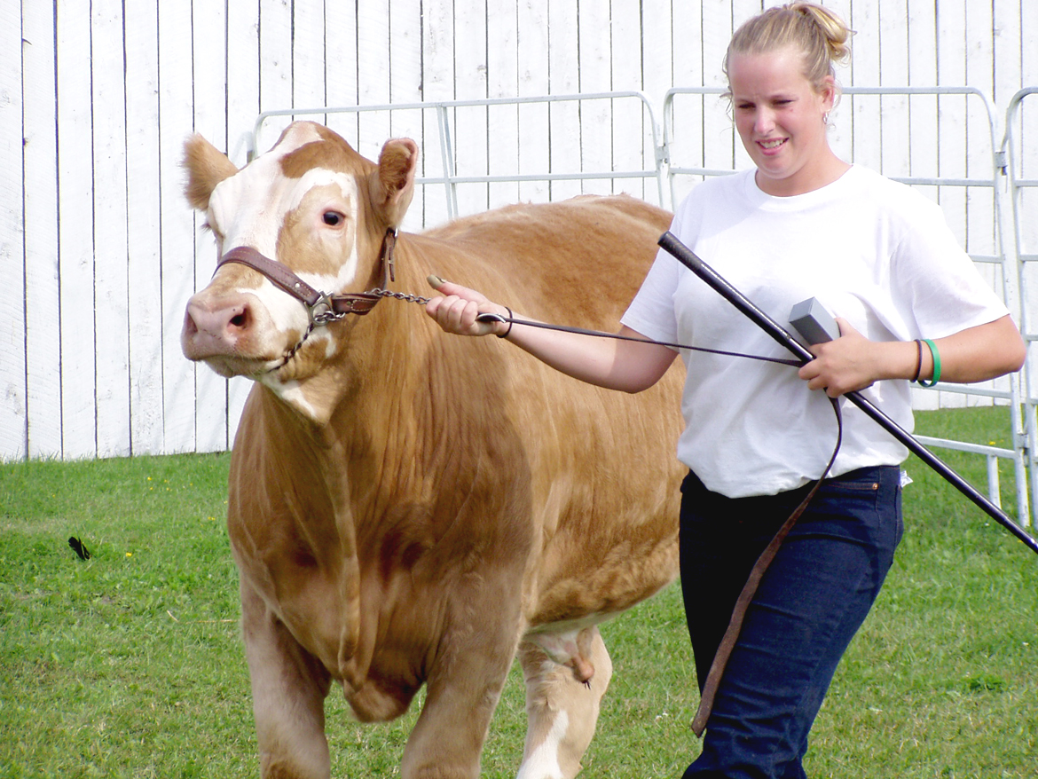 Grand champion