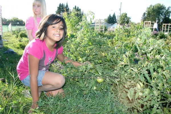 Growing garden