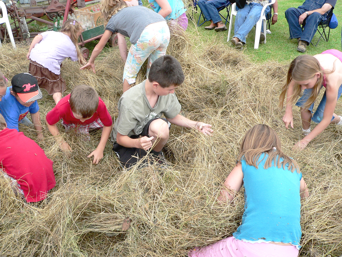 Hay Hunt