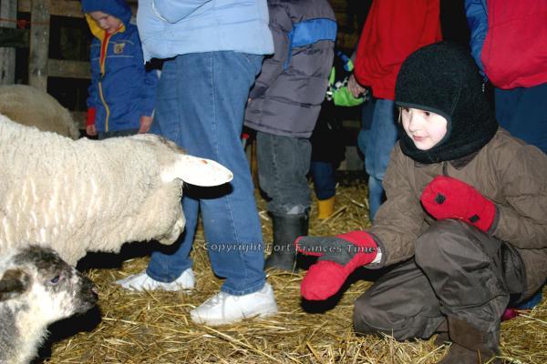 ‘Here little lamb’