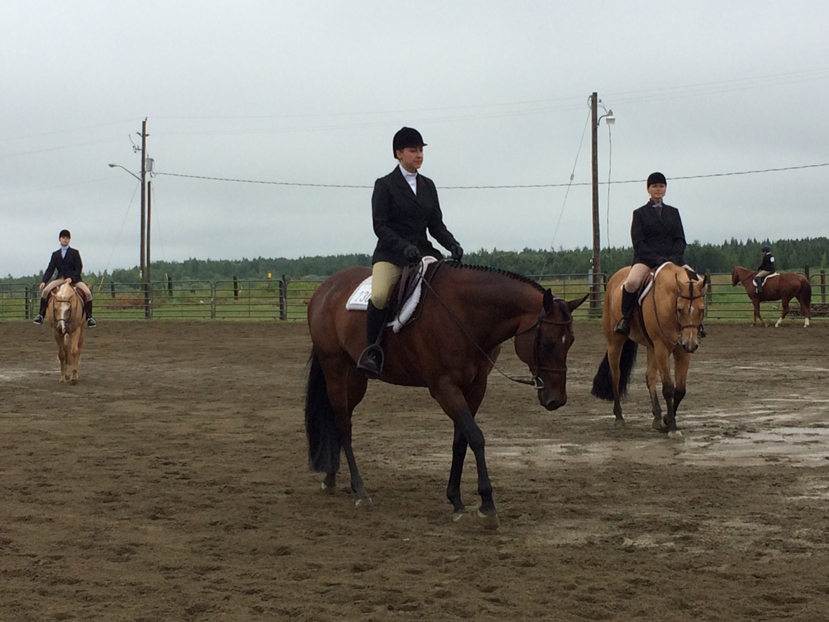 Horse show