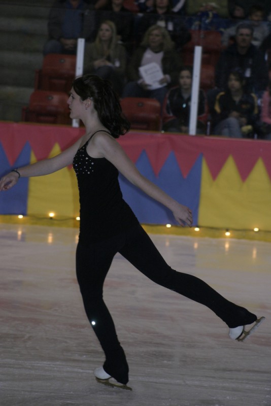 2010 Ice Show