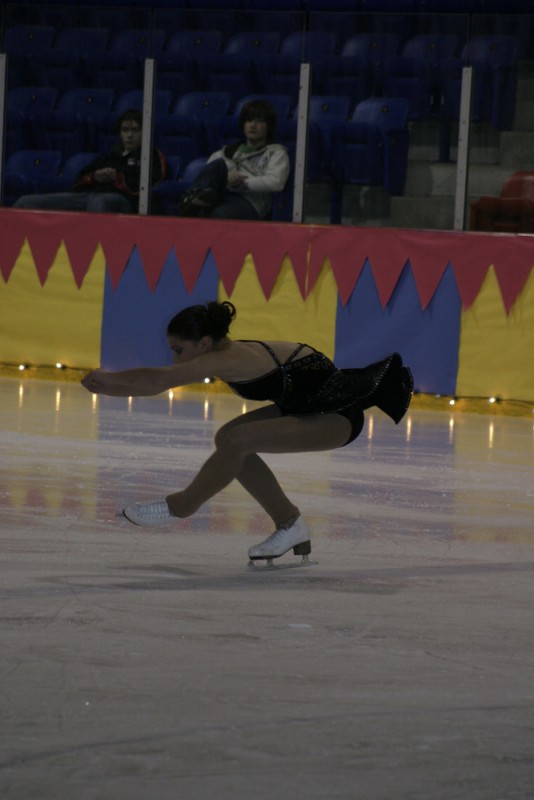 2010 Ice Show