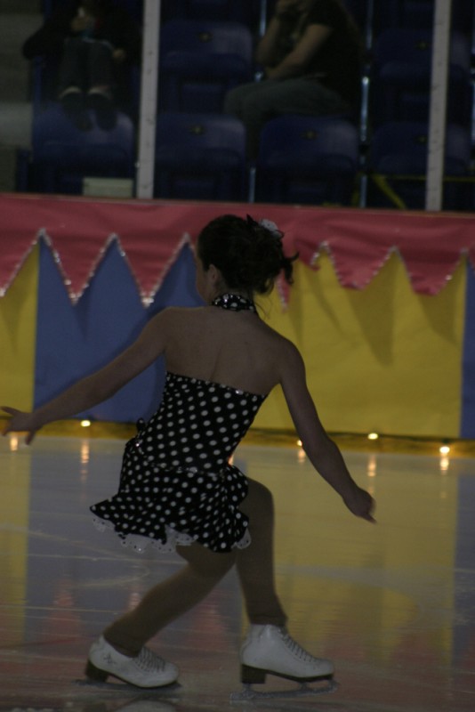 2010 Ice Show