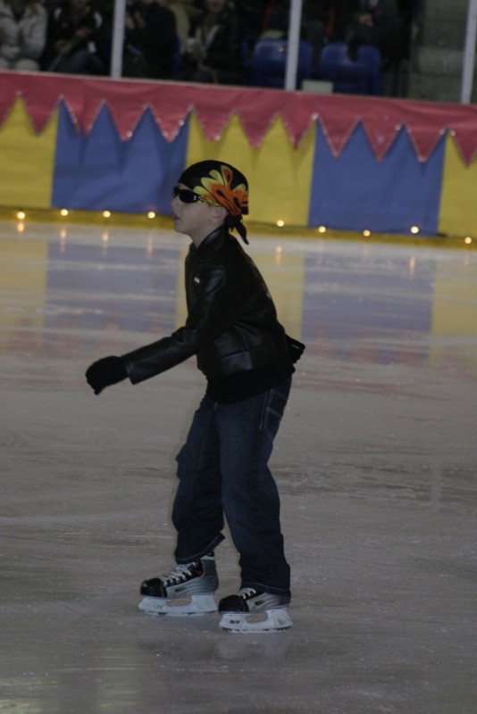2010 Ice Show