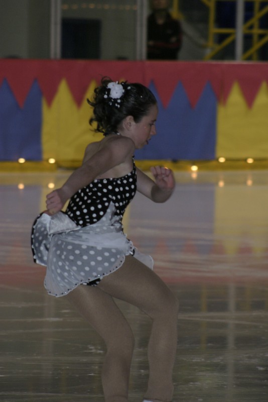 2010 Ice Show