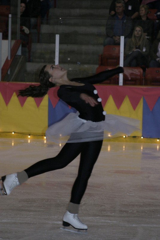 2010 Ice Show