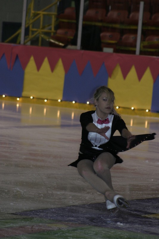 2010 Ice Show