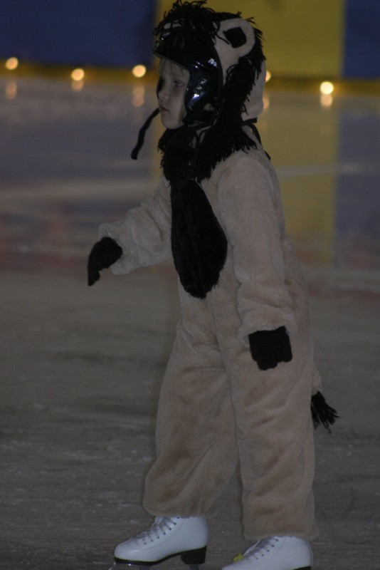 2010 Ice Show