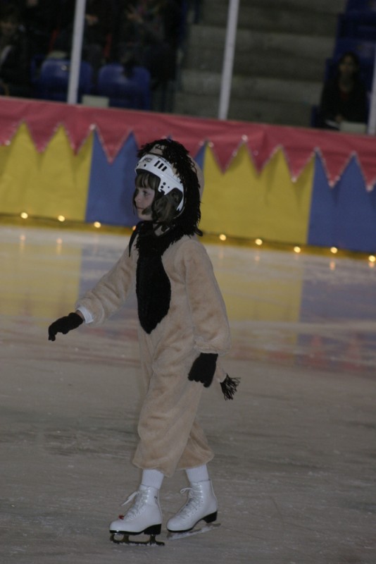 2010 Ice Show