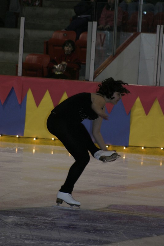 2010 Ice Show