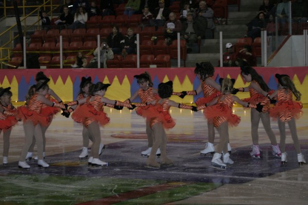 2010 Ice Show