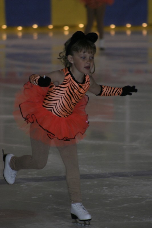 2010 Ice Show