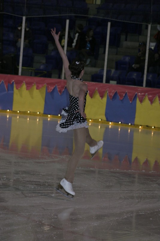 2010 Ice Show