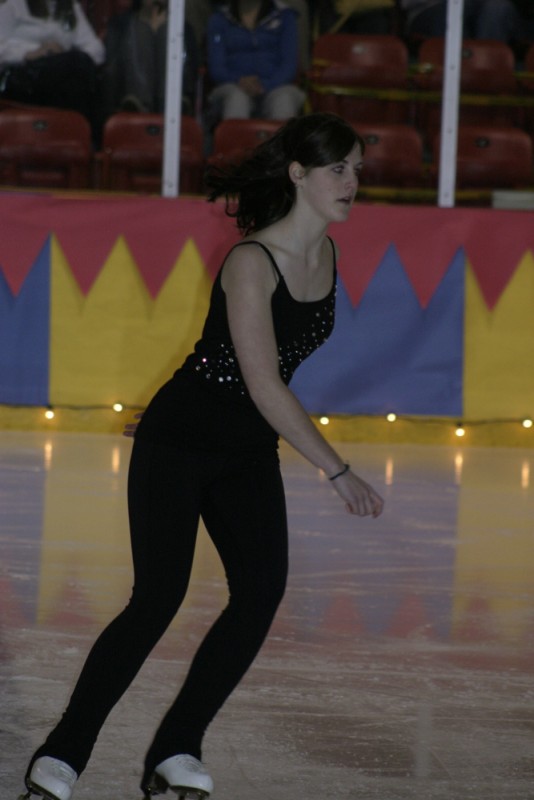 2010 Ice Show