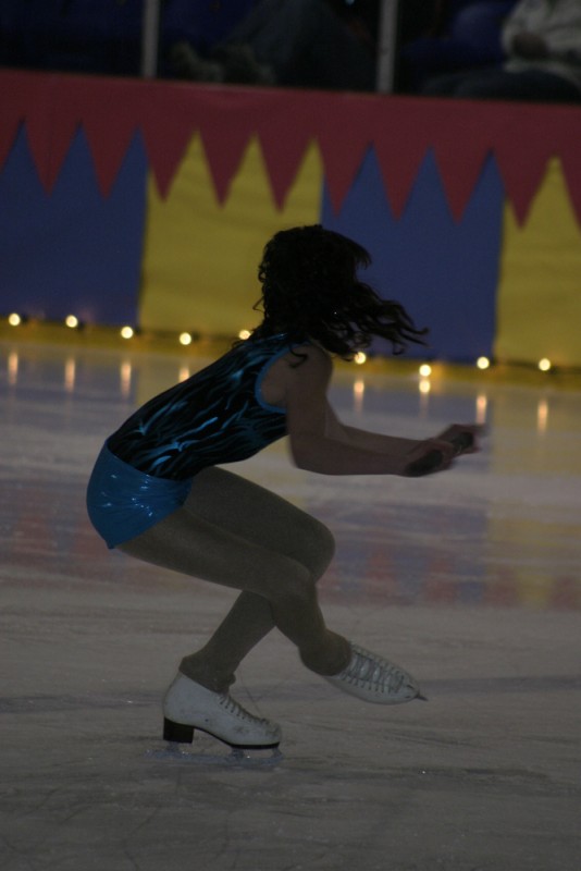 2010 Ice Show