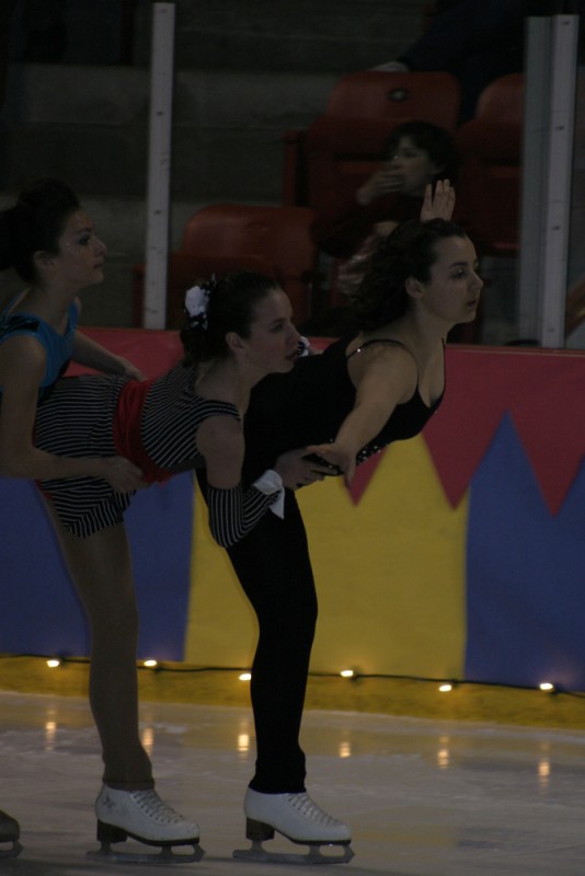 2010 Ice Show