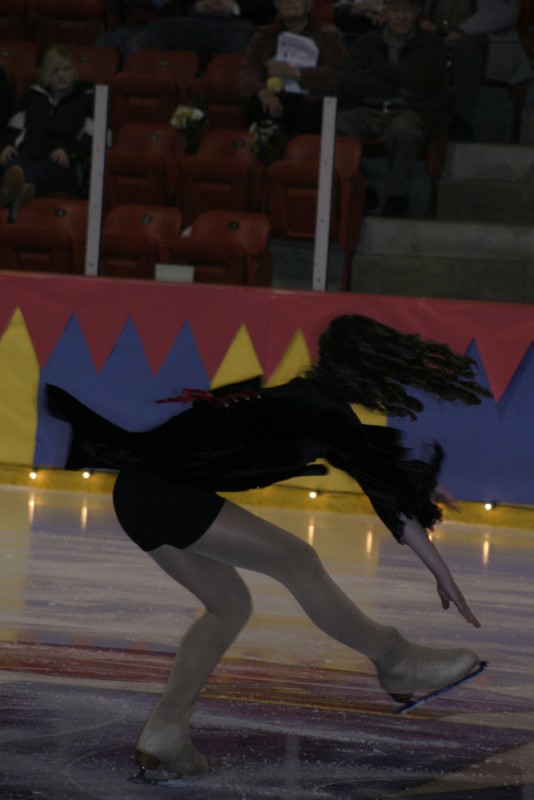 2010 Ice Show