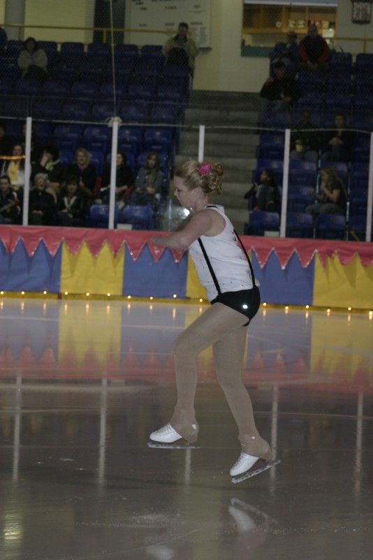 2010 Ice Show