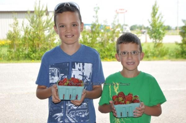 Juicy strawberries