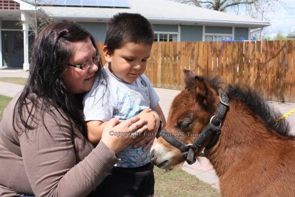 Tiny horse