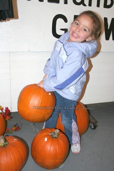 Picking pumpkins