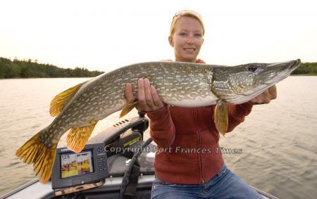 Pike  handling